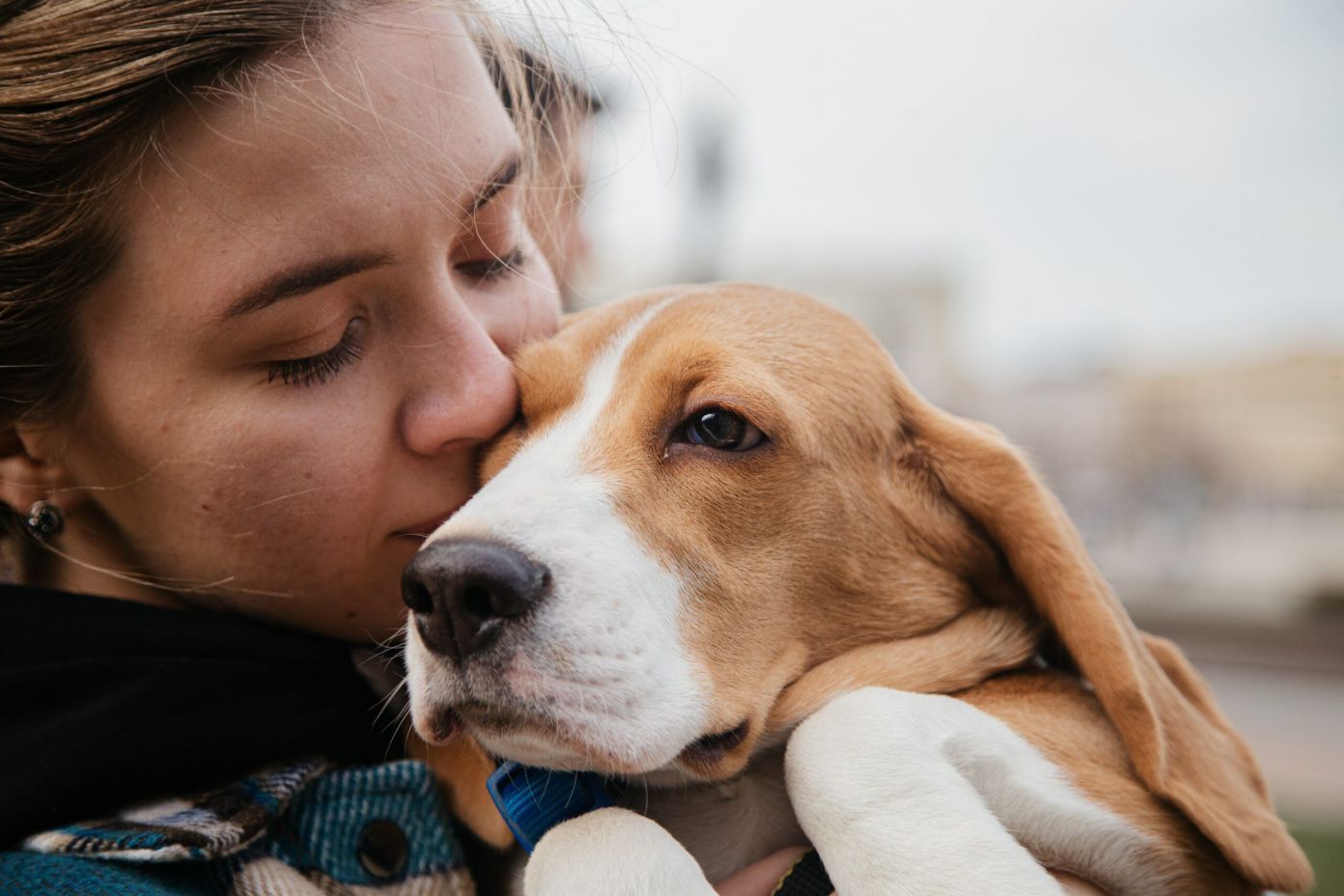 dog-with-owner