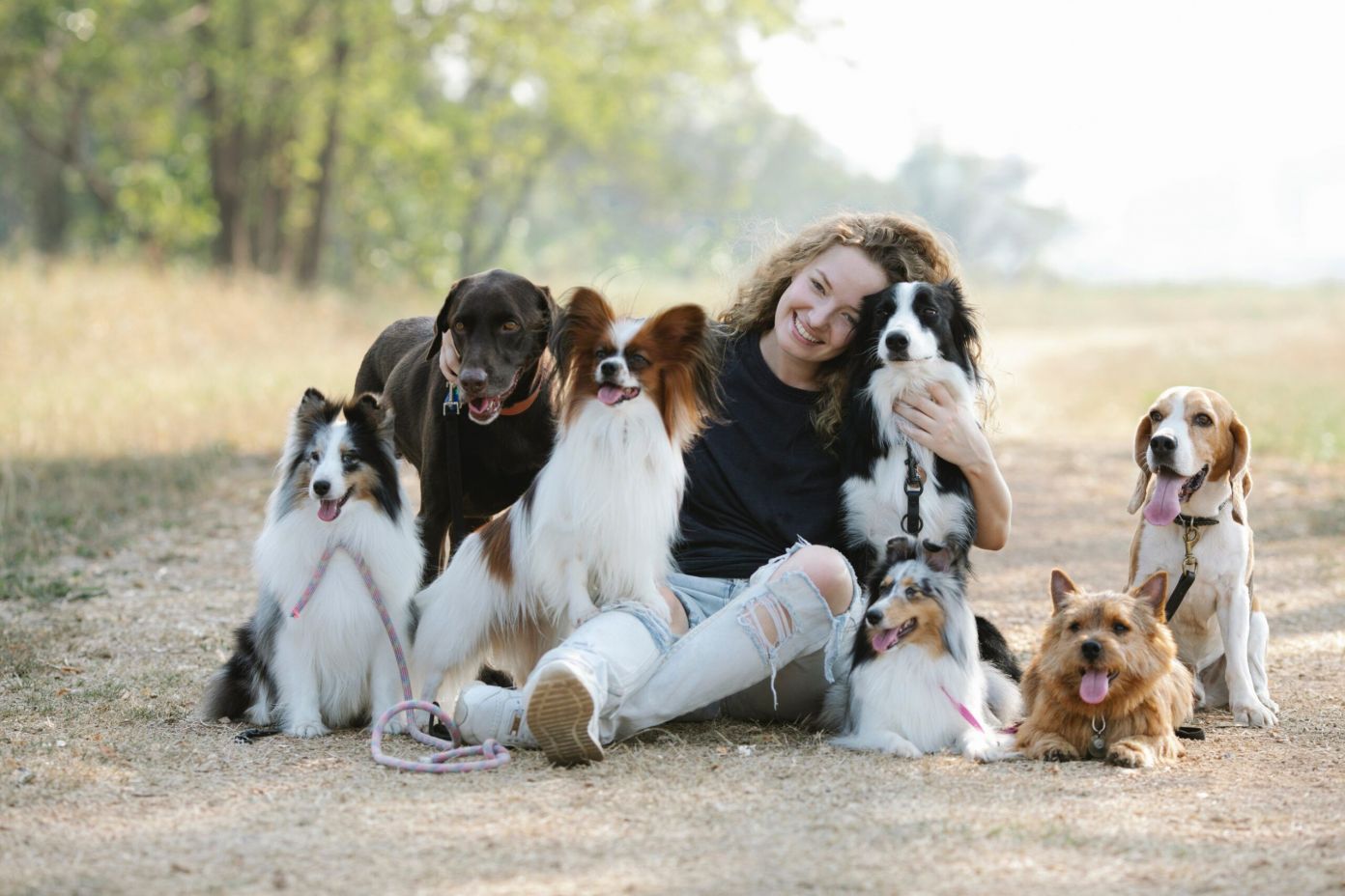 dog-in-groups